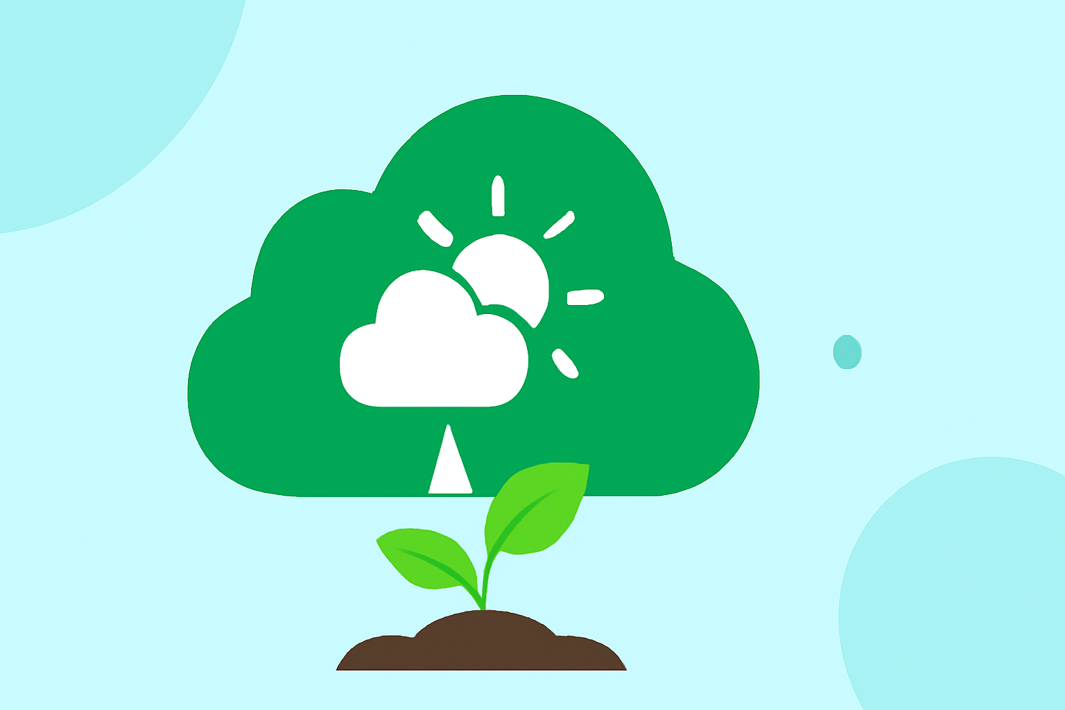 Weather Tips for Vegetable Growing Success