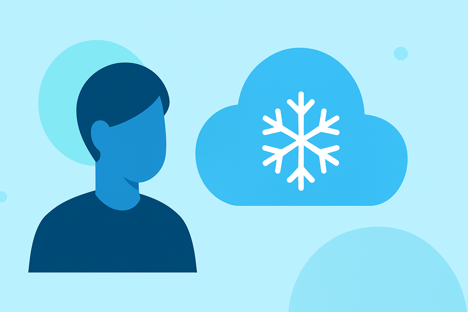 An Introduction to Ice Forecasts for Pet Owners