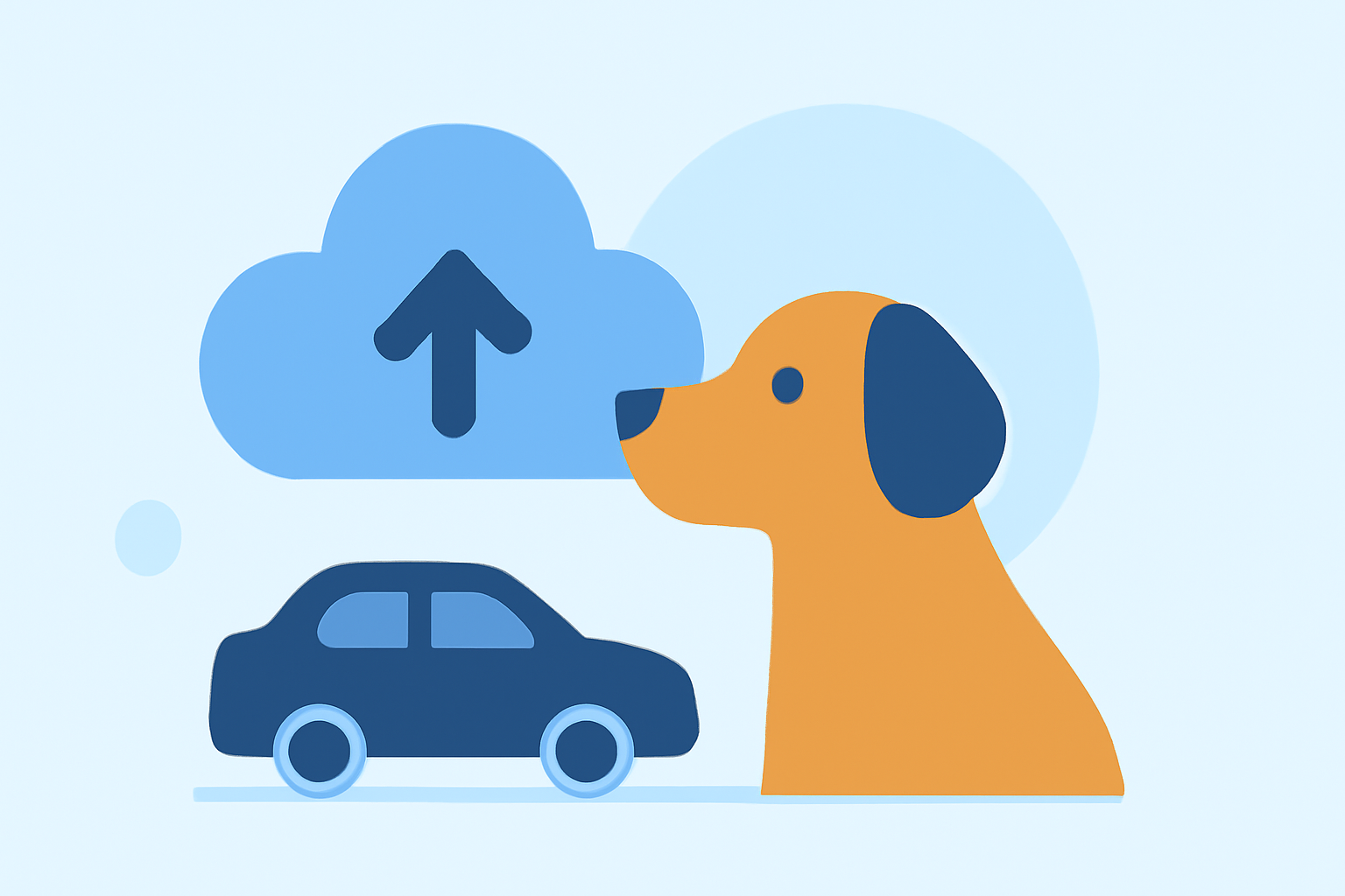 Weather Guidance for Road Trips: A Step-by-Step Guide for Pet Owners