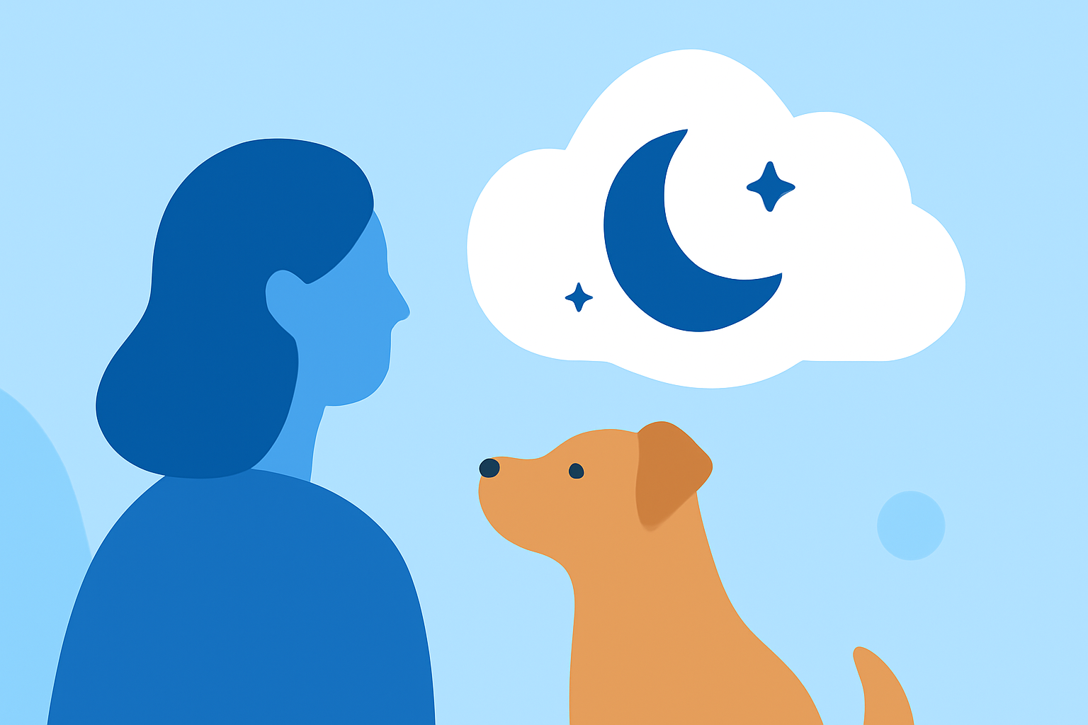 Weather for Stargazing Trips: Tips for Pet Owners
