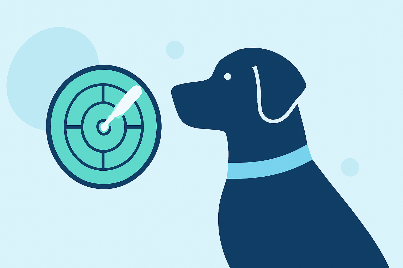 Radar History Tricks for Pet Owners