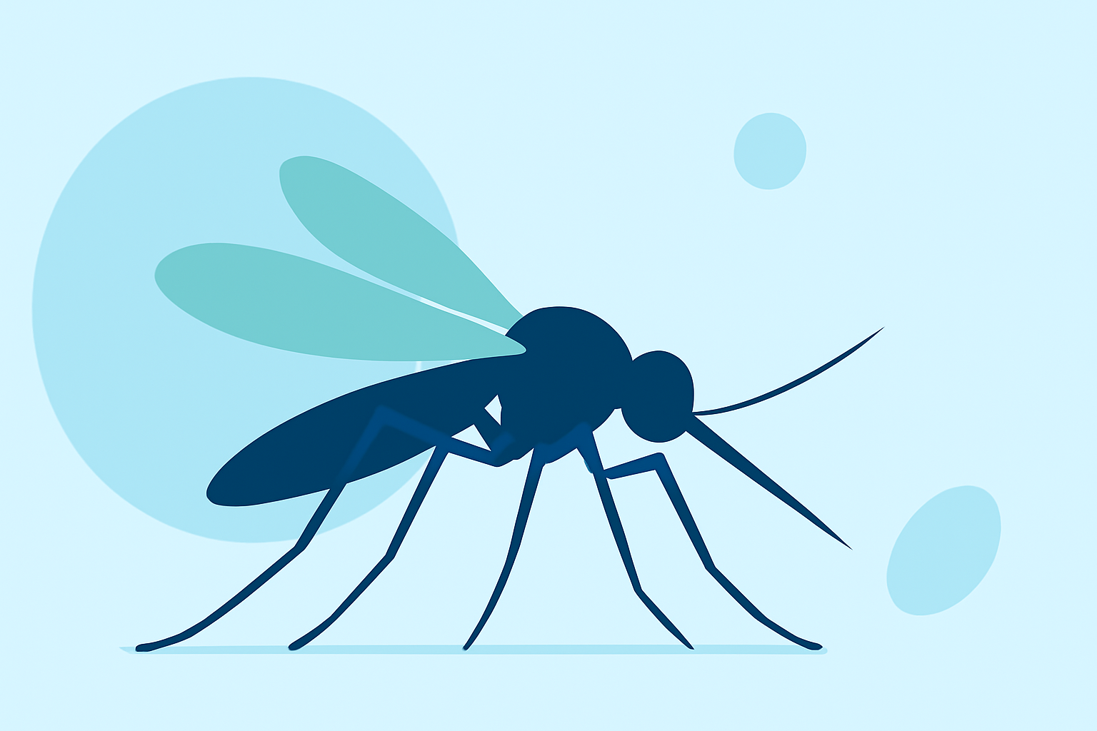 Understanding Mosquito Season: A Guide for U.S. Residents