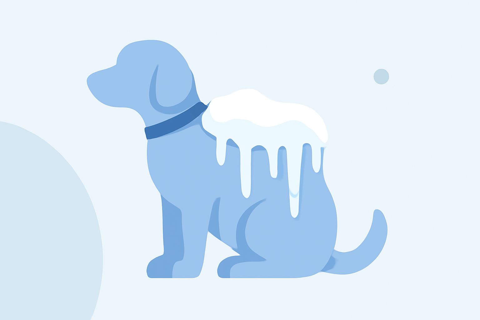 Common Ice Accumulation Questions for Pet Owners