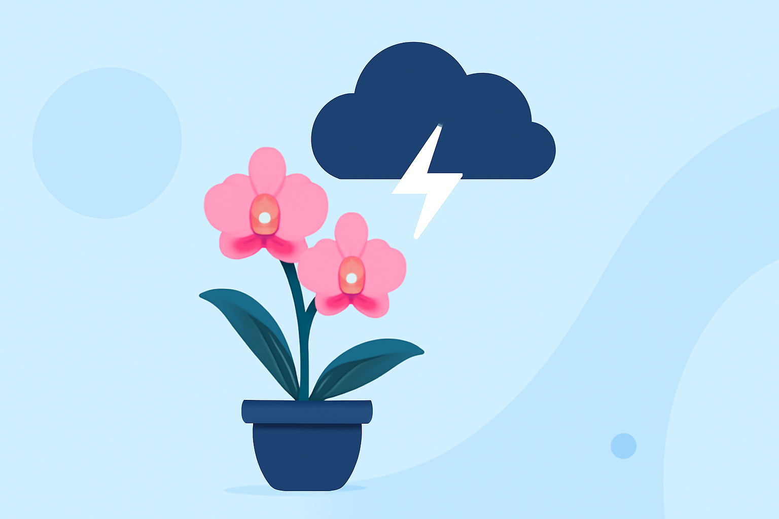 An Introduction to Weather for Orchid Growing During Severe Weather