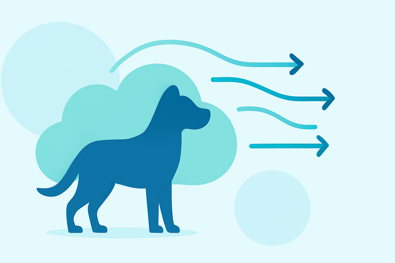Understanding the Jet Stream: Essential Insights for Pet Owners