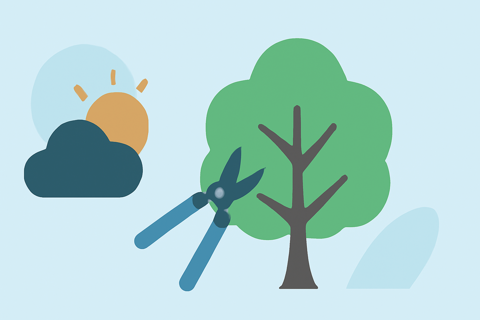 How Weather Affects Tree Trimming: Tips and Tricks