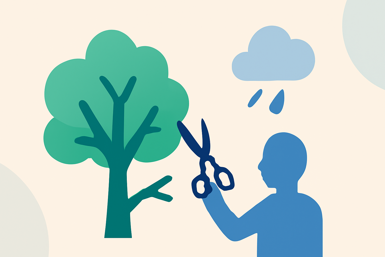 Weather Tips for Effective Tree Pruning