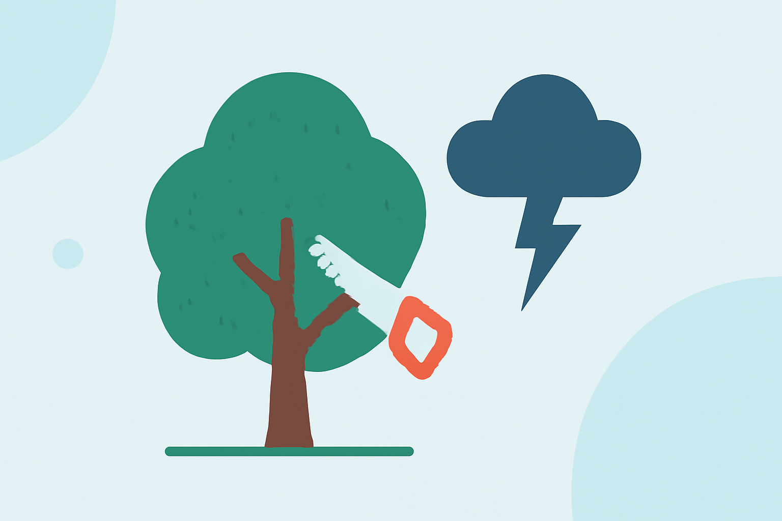 An Introduction to Weather Considerations for Tree Pruning During Hurricane Season