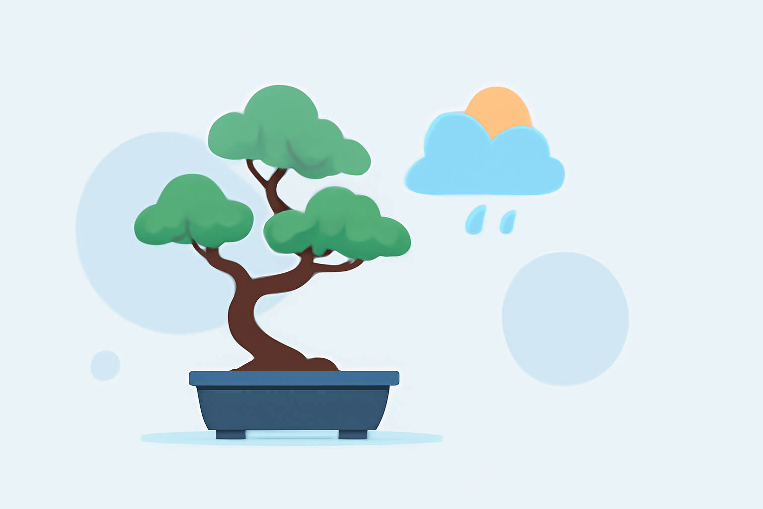 Weather Considerations for Caring for Bonsai Without Prior Experience