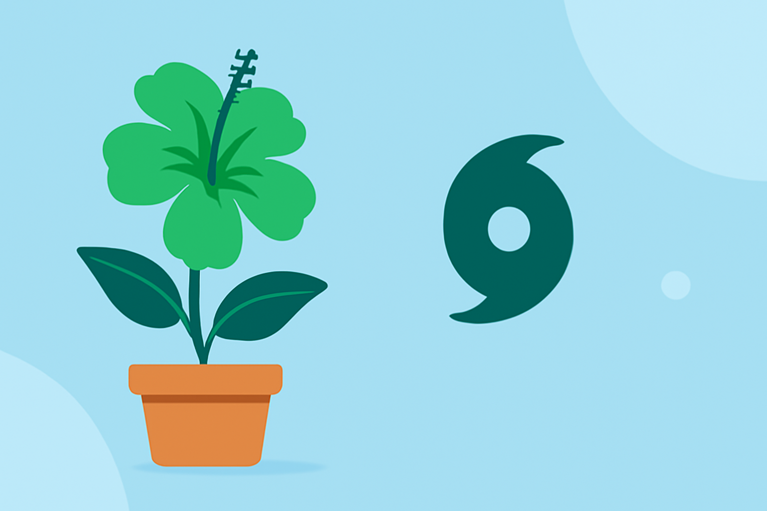 Essential Gardening Tips for Hurricane Season