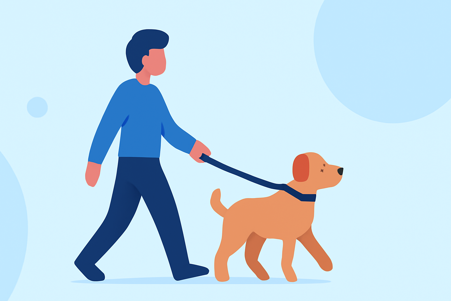 Creating a Dog Walking Weather Workflow from Scratch