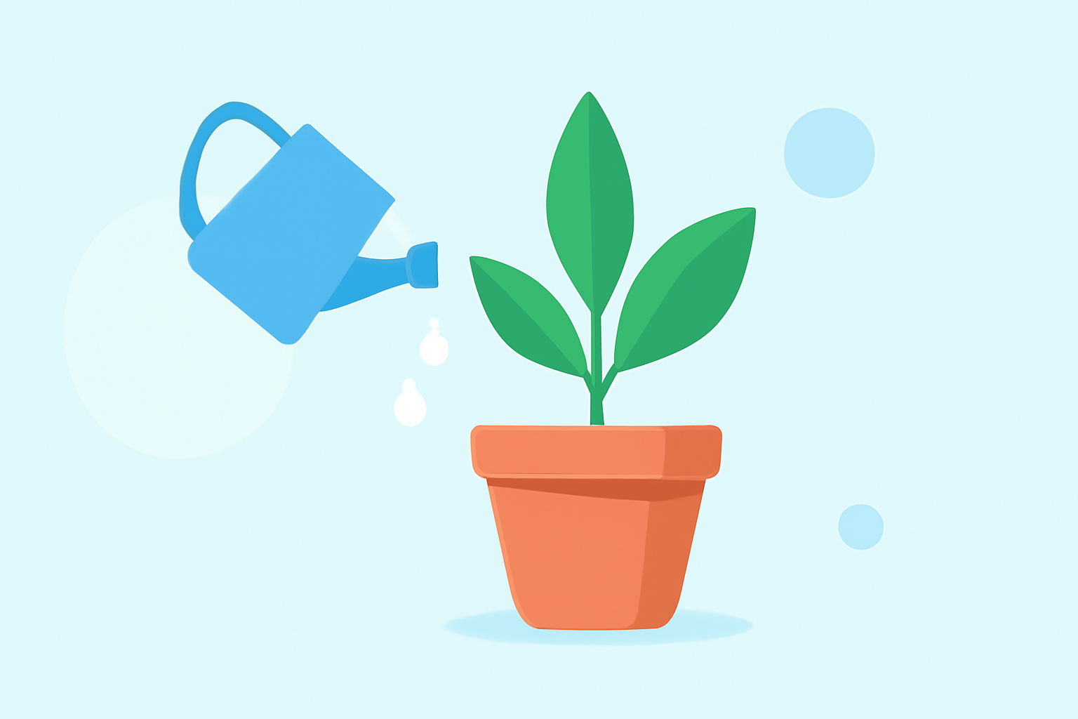 Preparing Your Garden for the 2026 Summer Weather Outlook