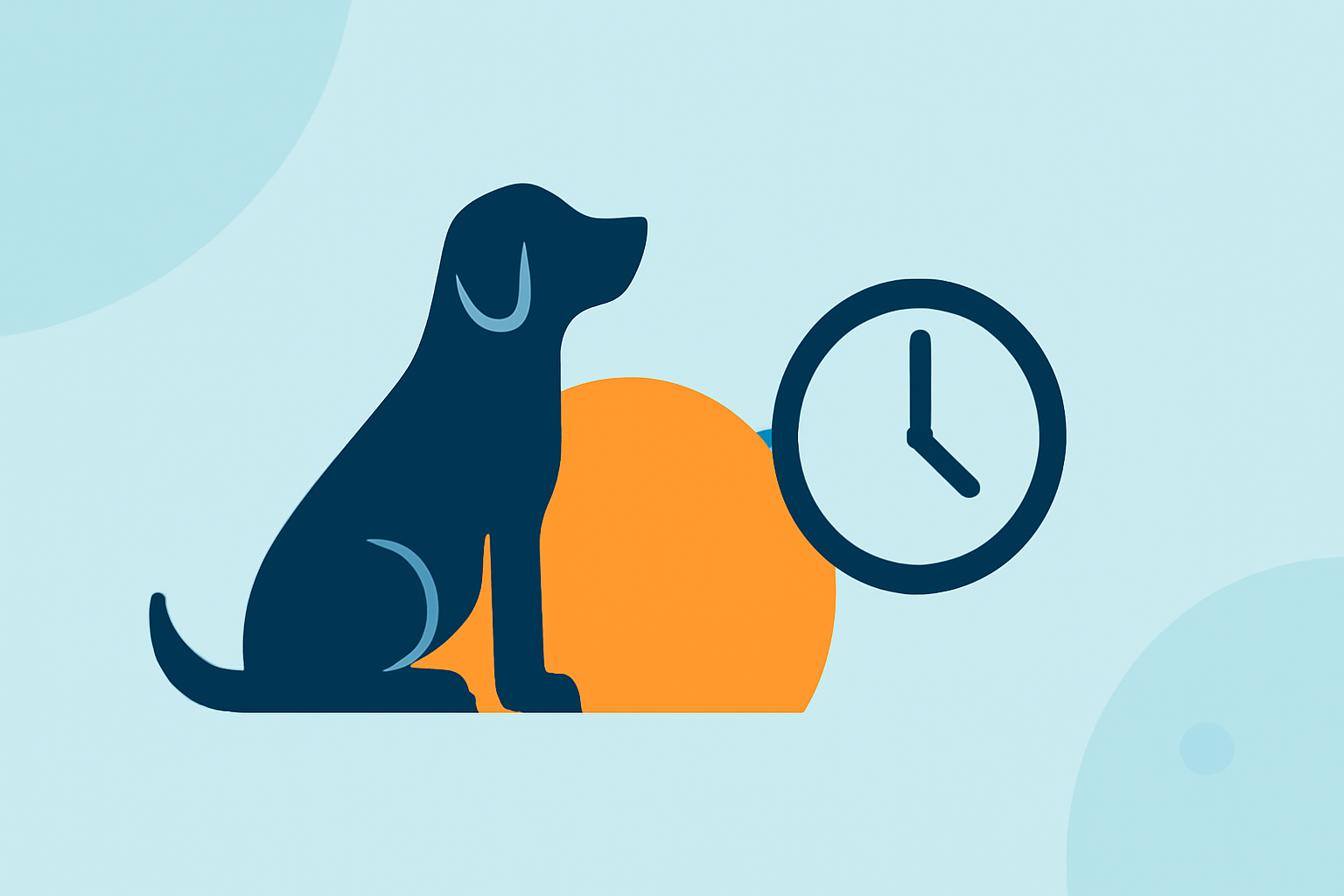 Understanding Daylight Hours: A Guide for Pet Owners