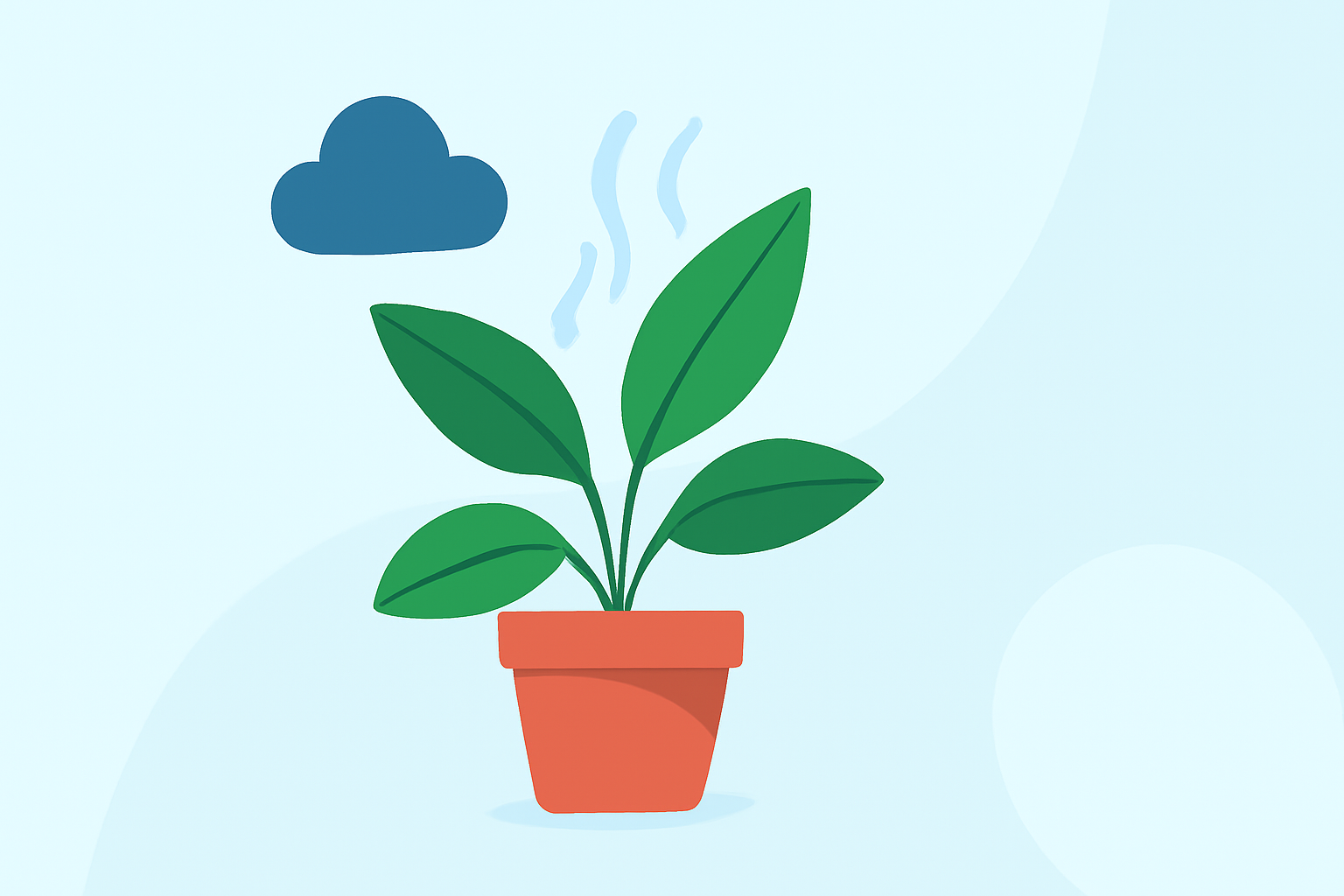 A Beginner's Guide to Increasing Humidity for Your Houseplants