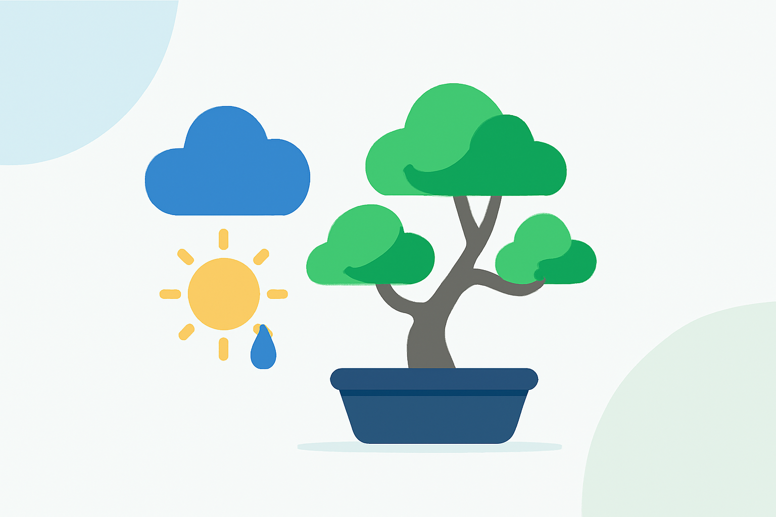 Getting Started with Weather for Bonsai Care