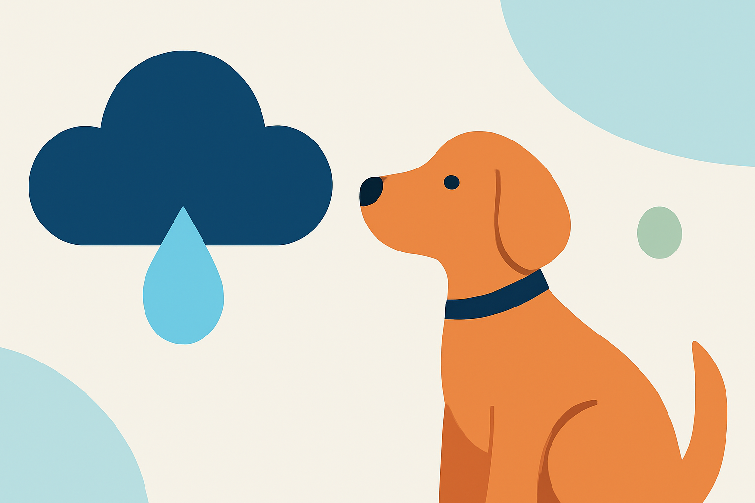Weather Considerations for Outdoor Pet Photography