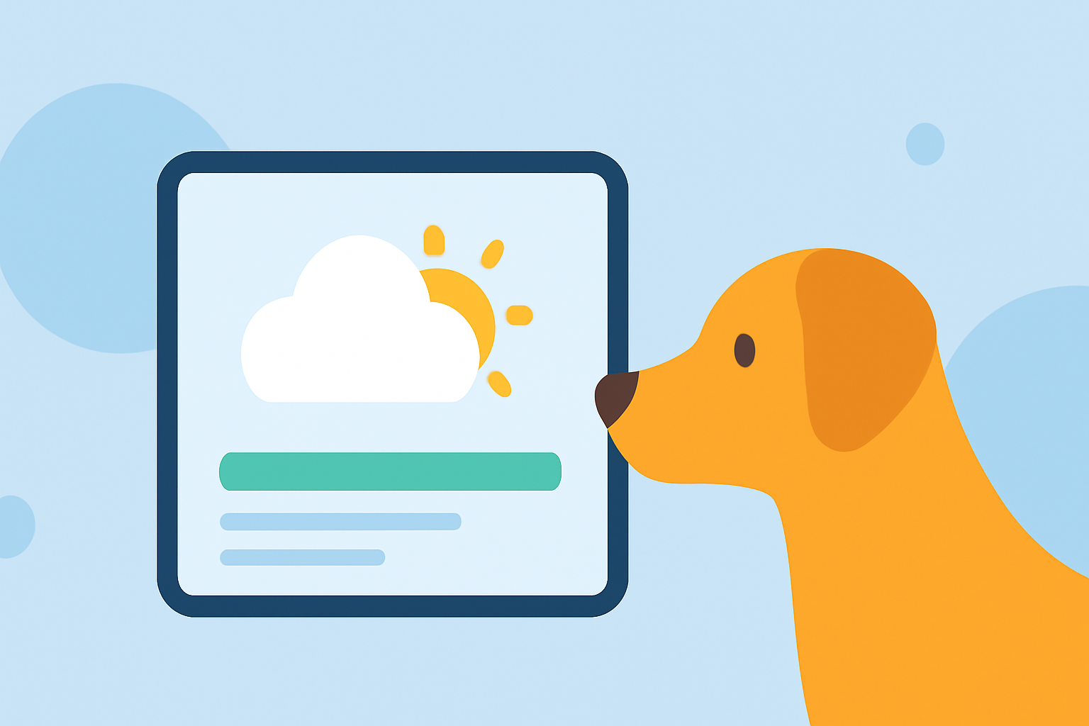 Weather Widget Basics Tutorial for Pet Owners
