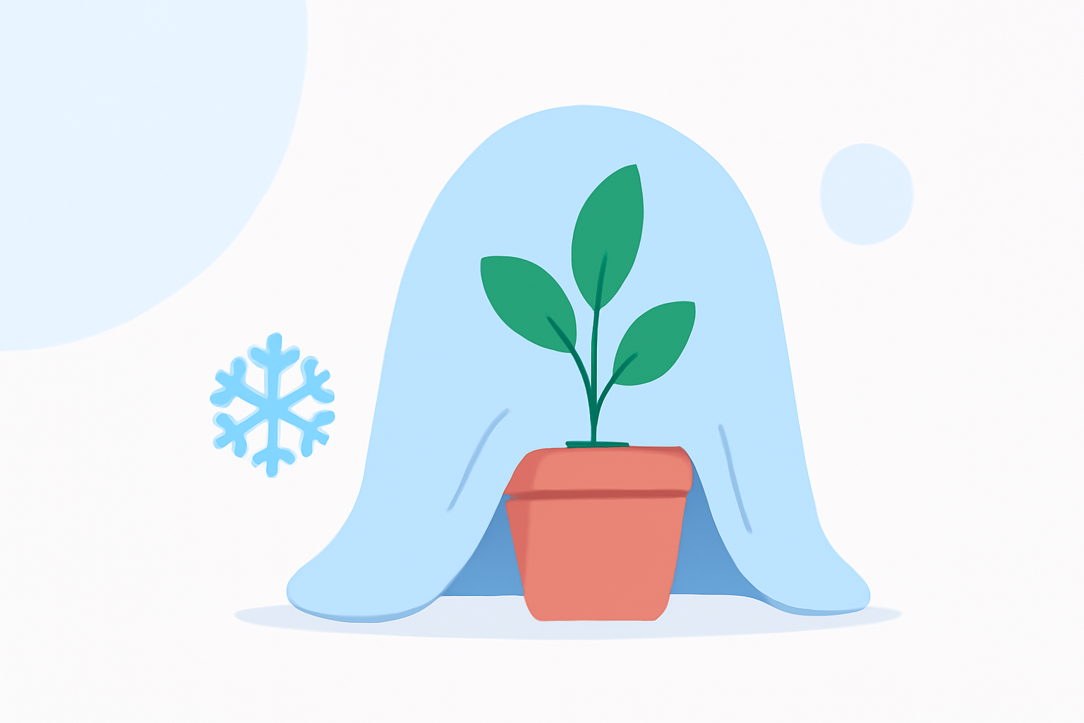 Protecting Your Flowers During Winter Storms: A Step-by-Step Guide