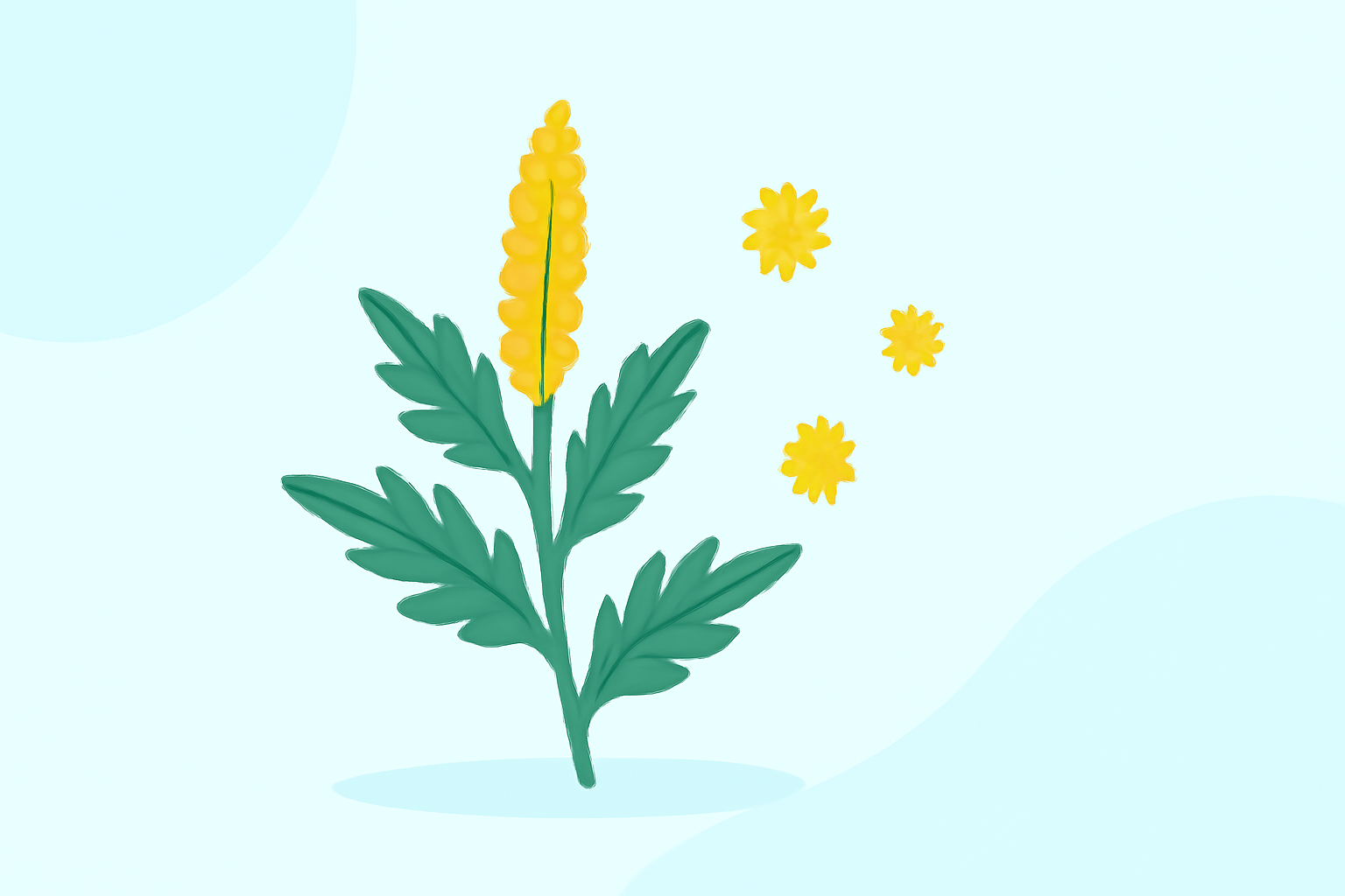 Understanding Ragweed Pollen: A Comprehensive Guide