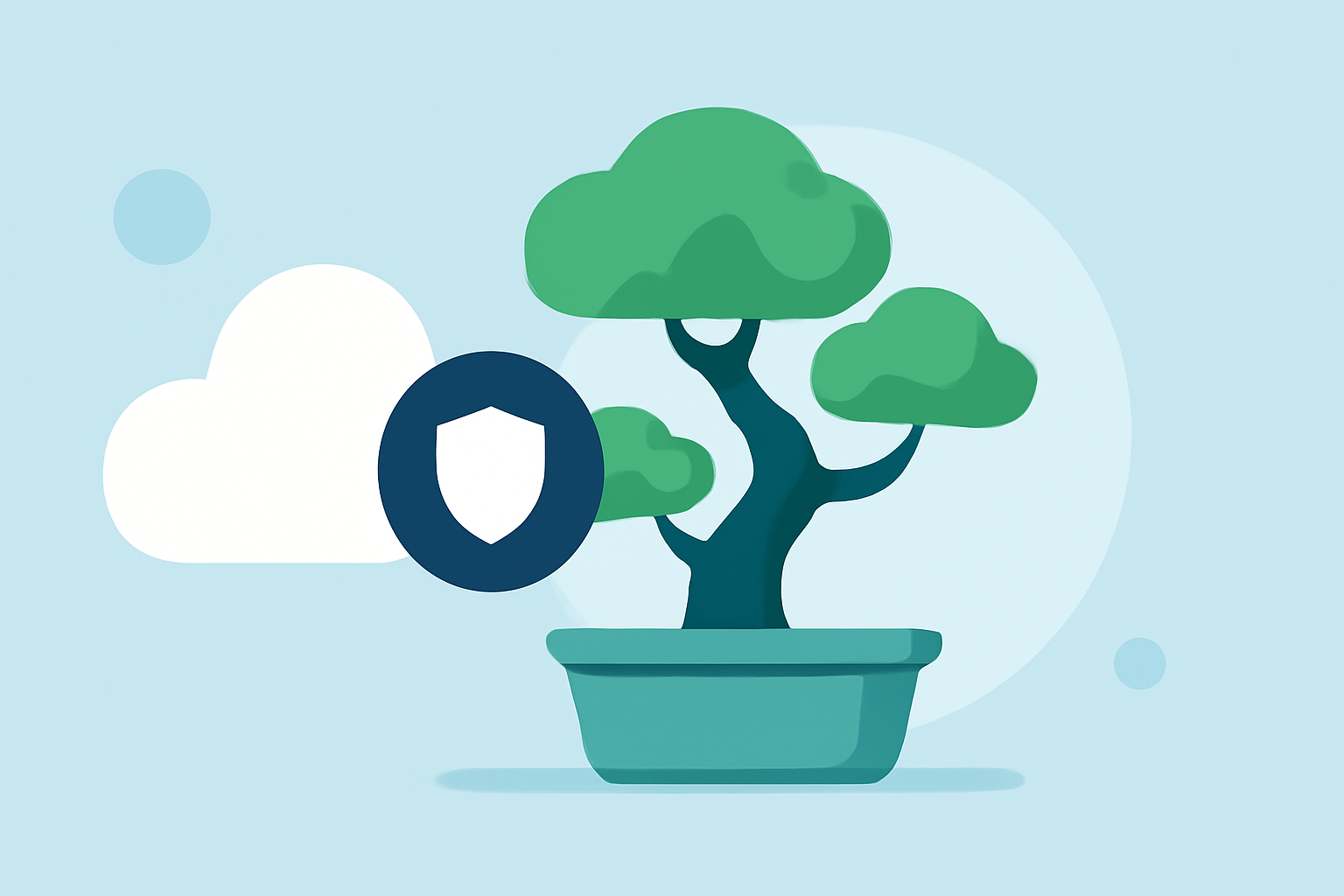 Easy Weather for Bonsai Care During Hurricane Season