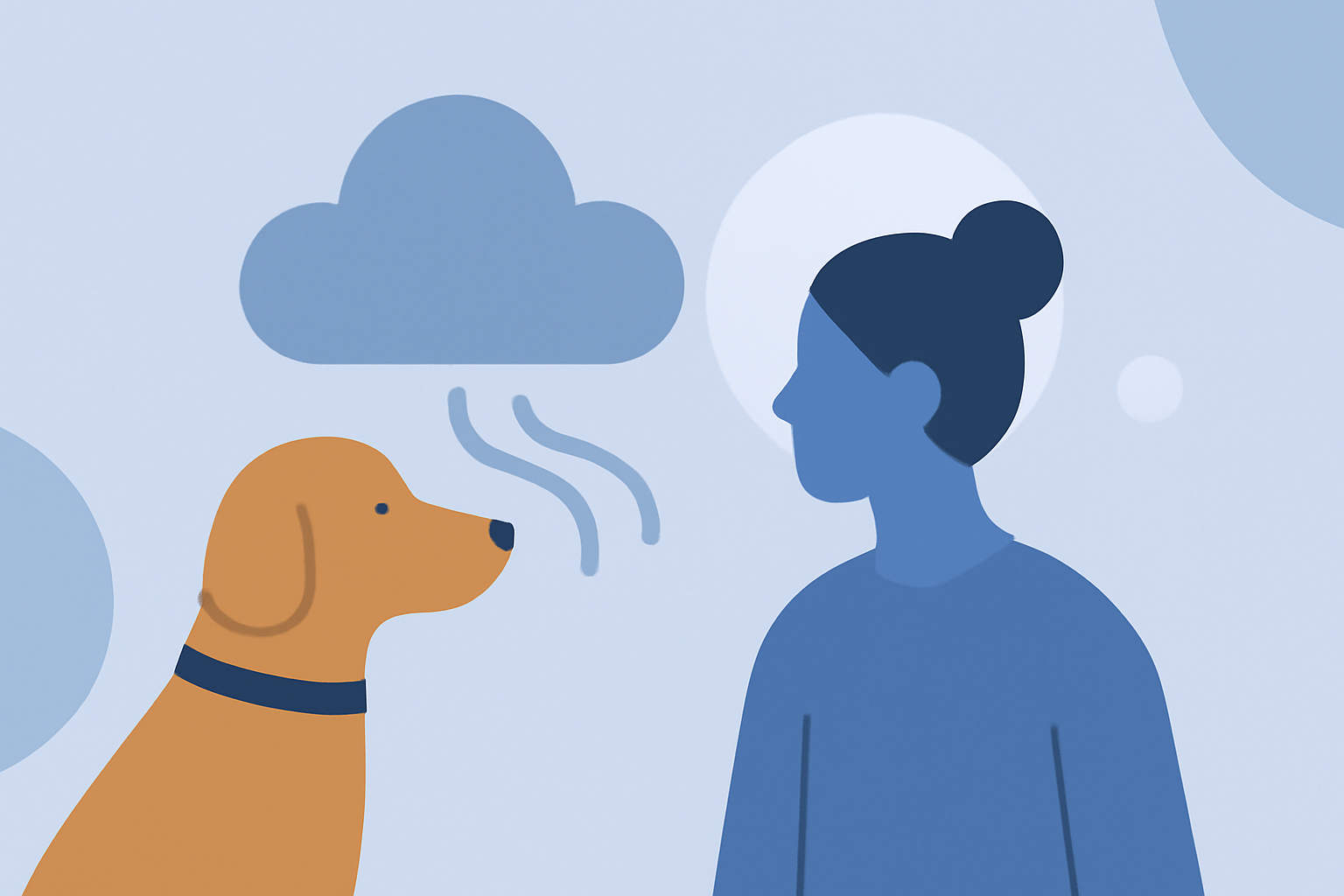 Dense Fog Alerts for Pet Owners: A Beginner's Guide