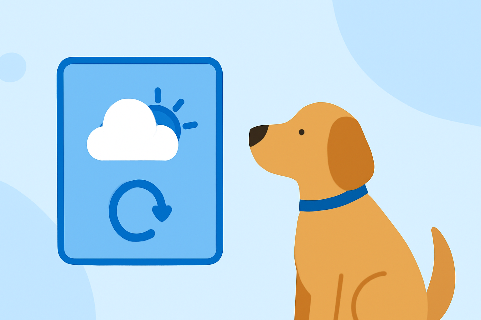 Understanding Weather Widget Refresh Rates: A Guide for Pet Owners