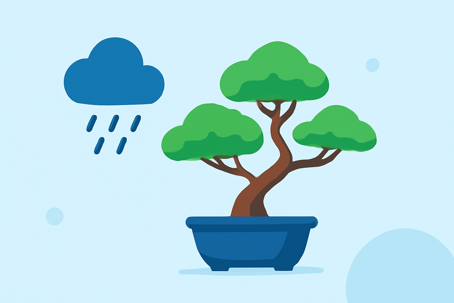 Weather Considerations for Bonsai Care in the United States