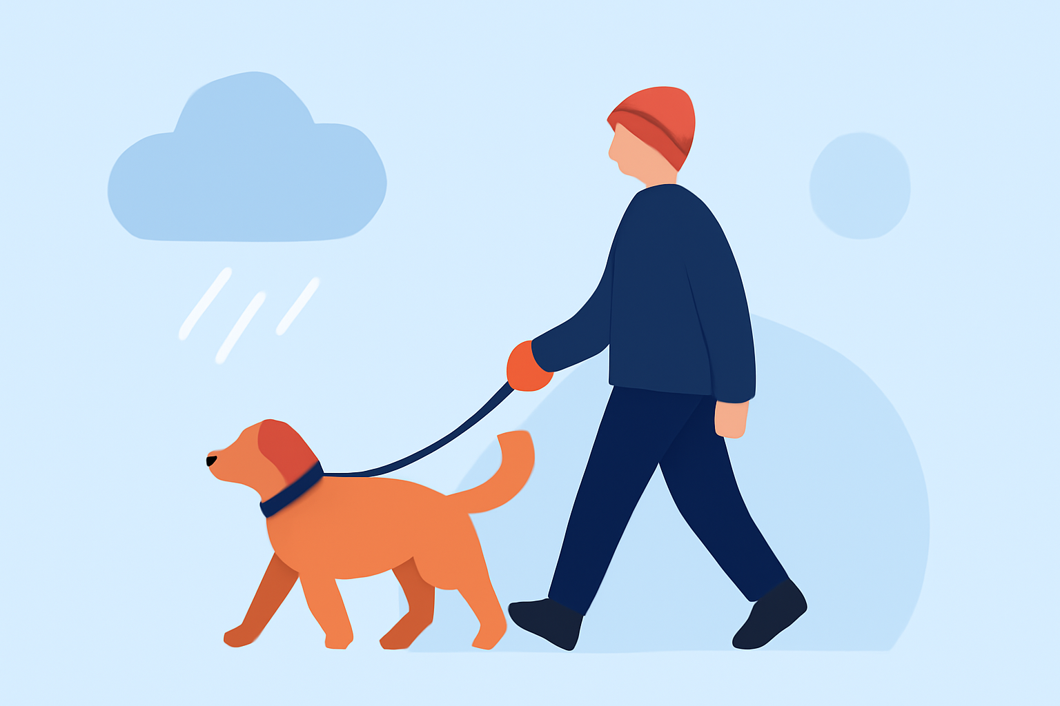Weather Considerations for Safe Pet Walking