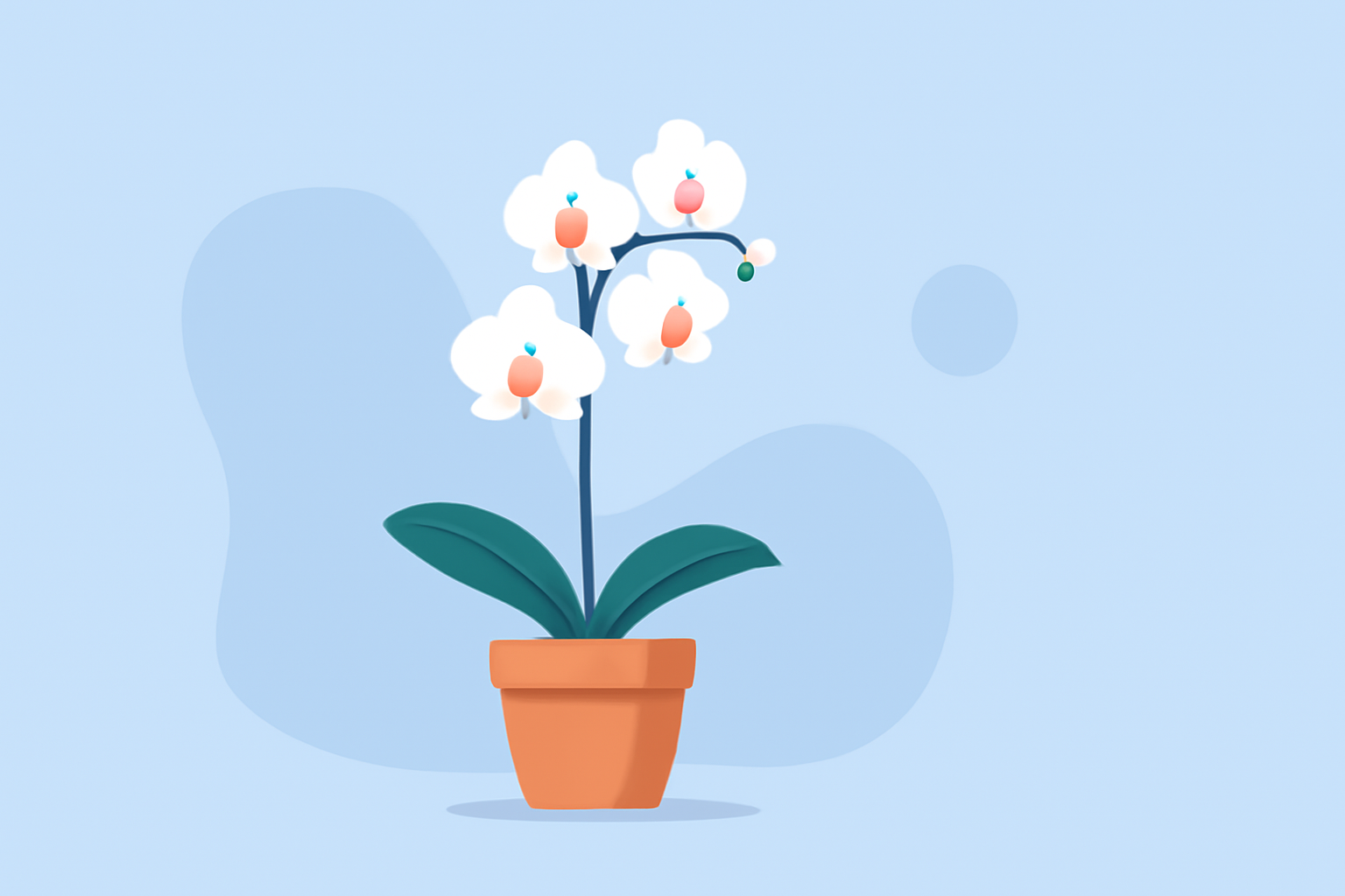 Creating the Ideal Environment for Orchid Growth in the United States