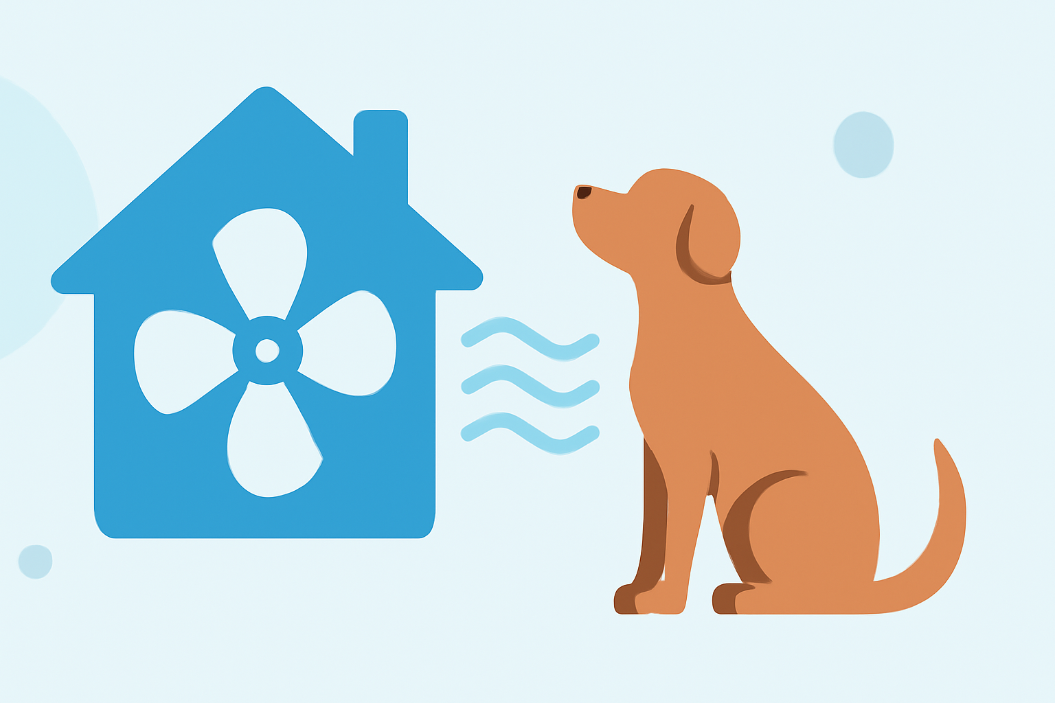 Ventilation for Air Quality: A Guide for Pet Owners