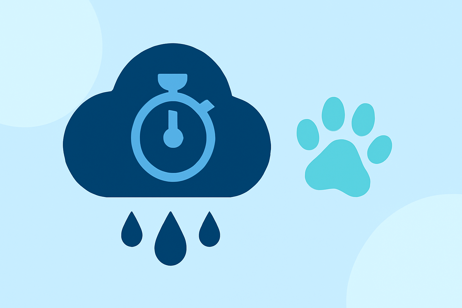 An Introduction to Rain Stop Time for Pet Owners