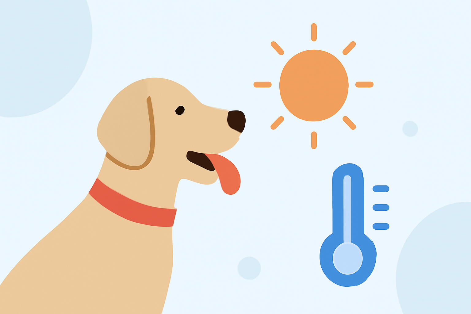 Pro Heat Wave Safety for Pet Owners