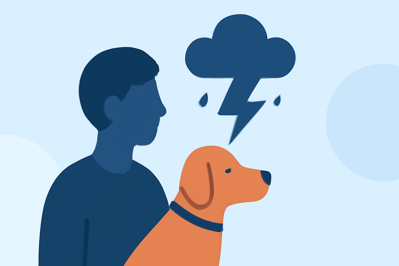 Lightning Safety Mistakes to Avoid for Pet Owners