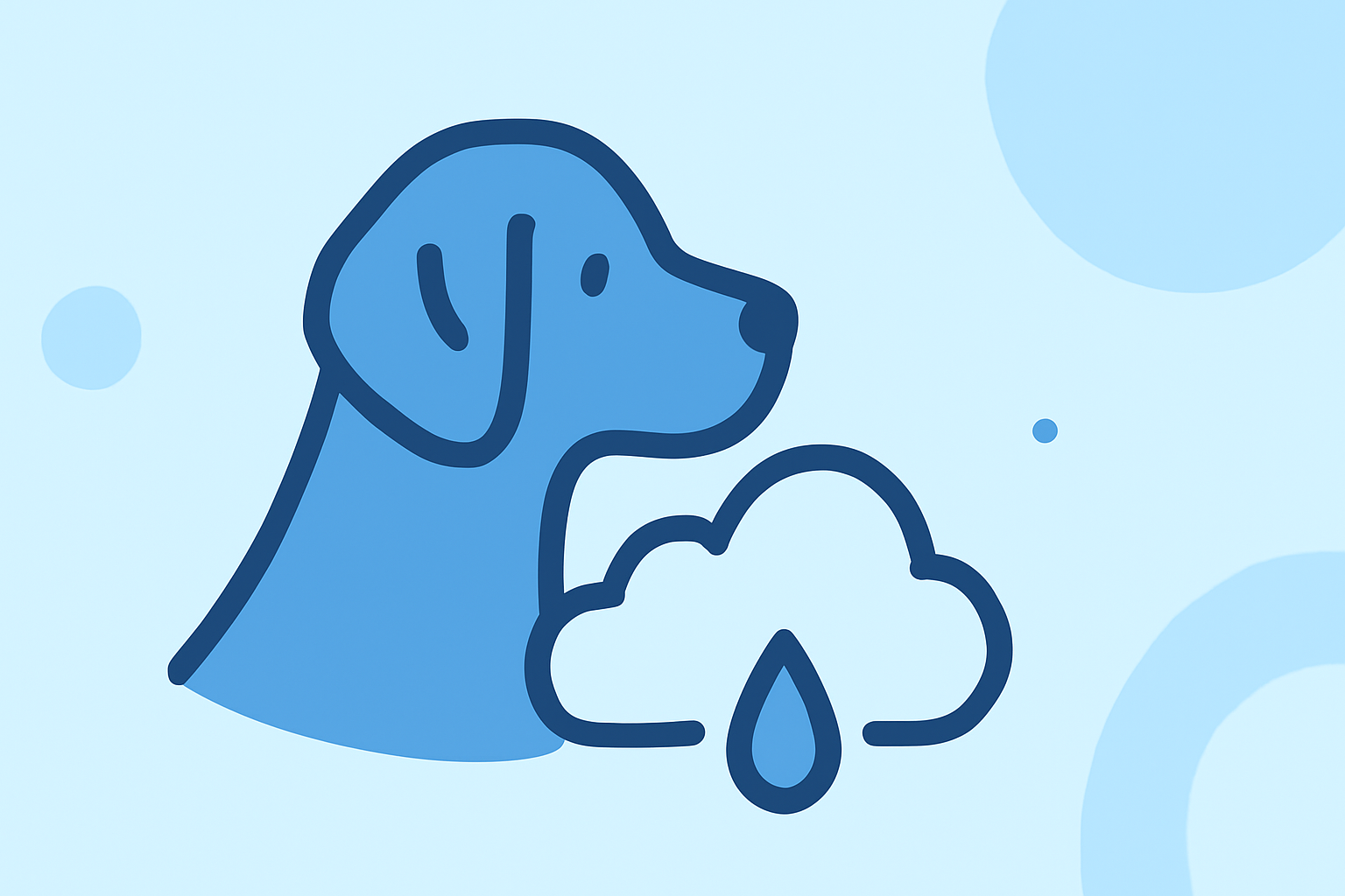 Arthritis Weather Guide for Pet Owners