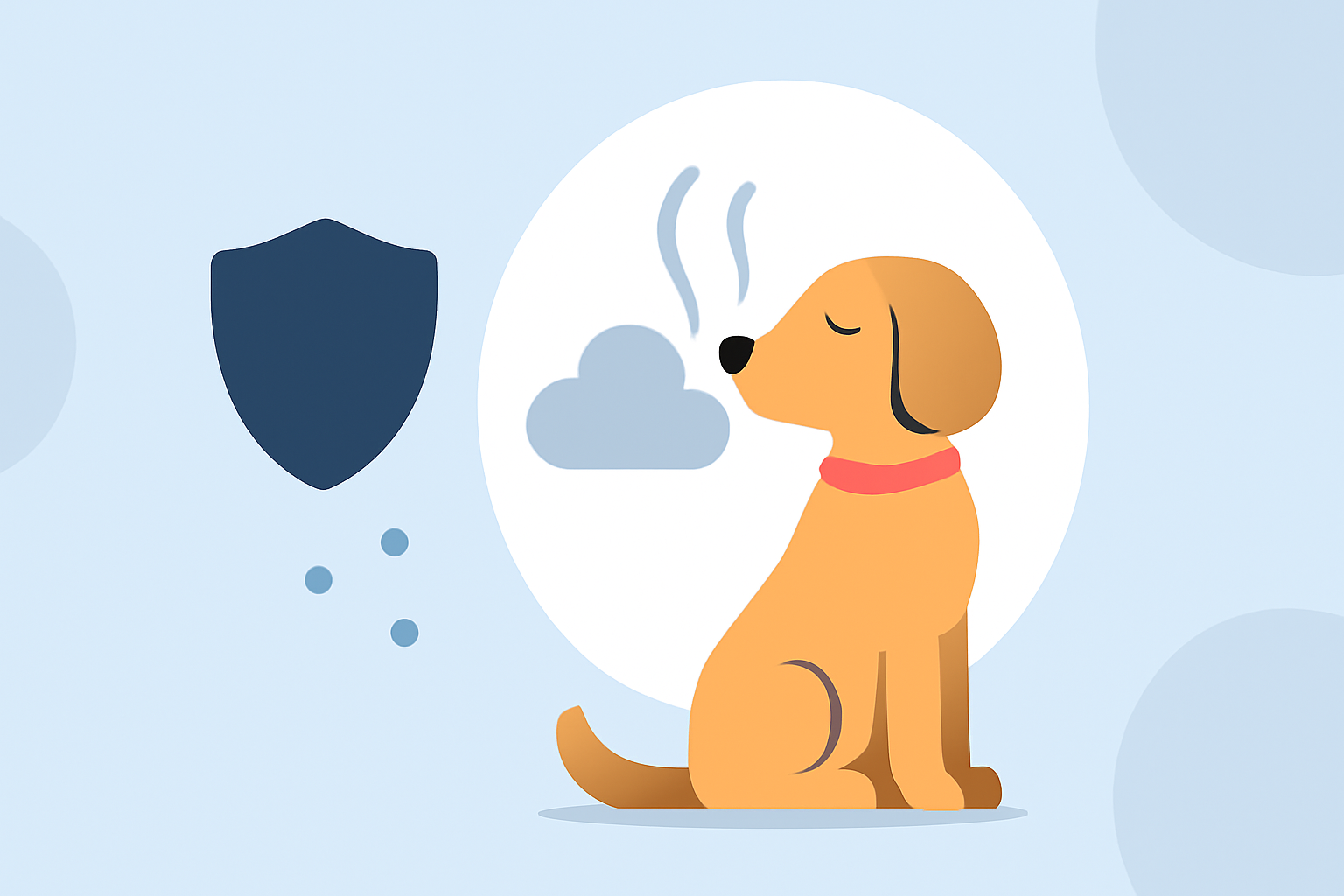 Protecting Your Pets from Wildfire Smoke: Essential Tips for Pet Owners