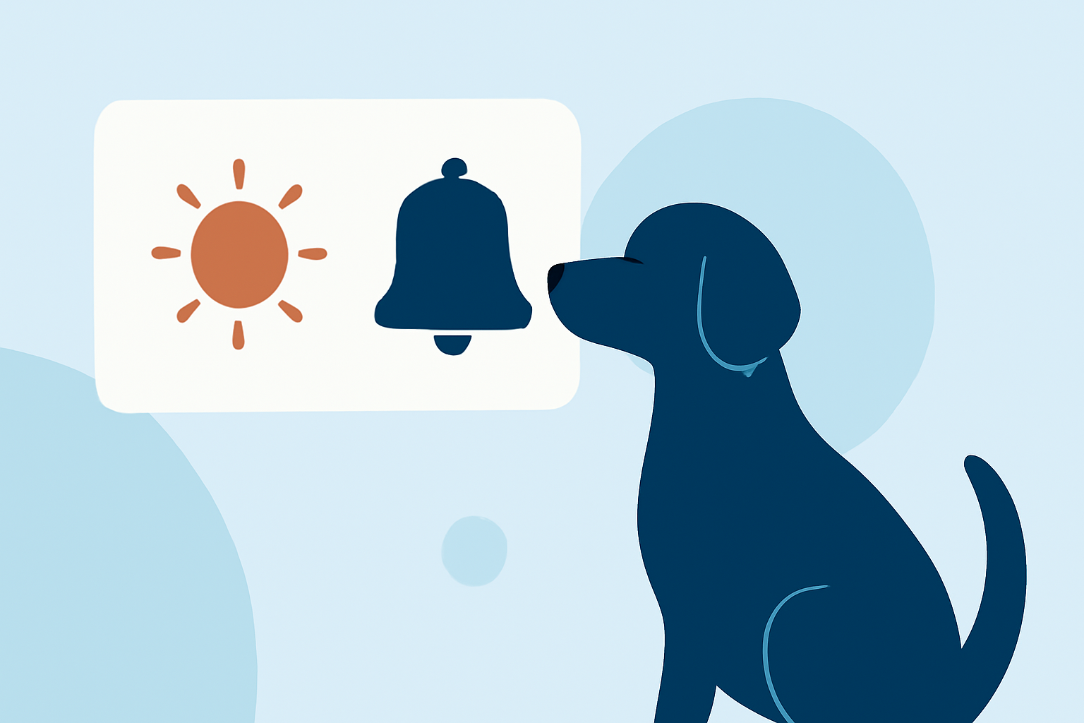 Understanding UV Notifications for Pet Owners
