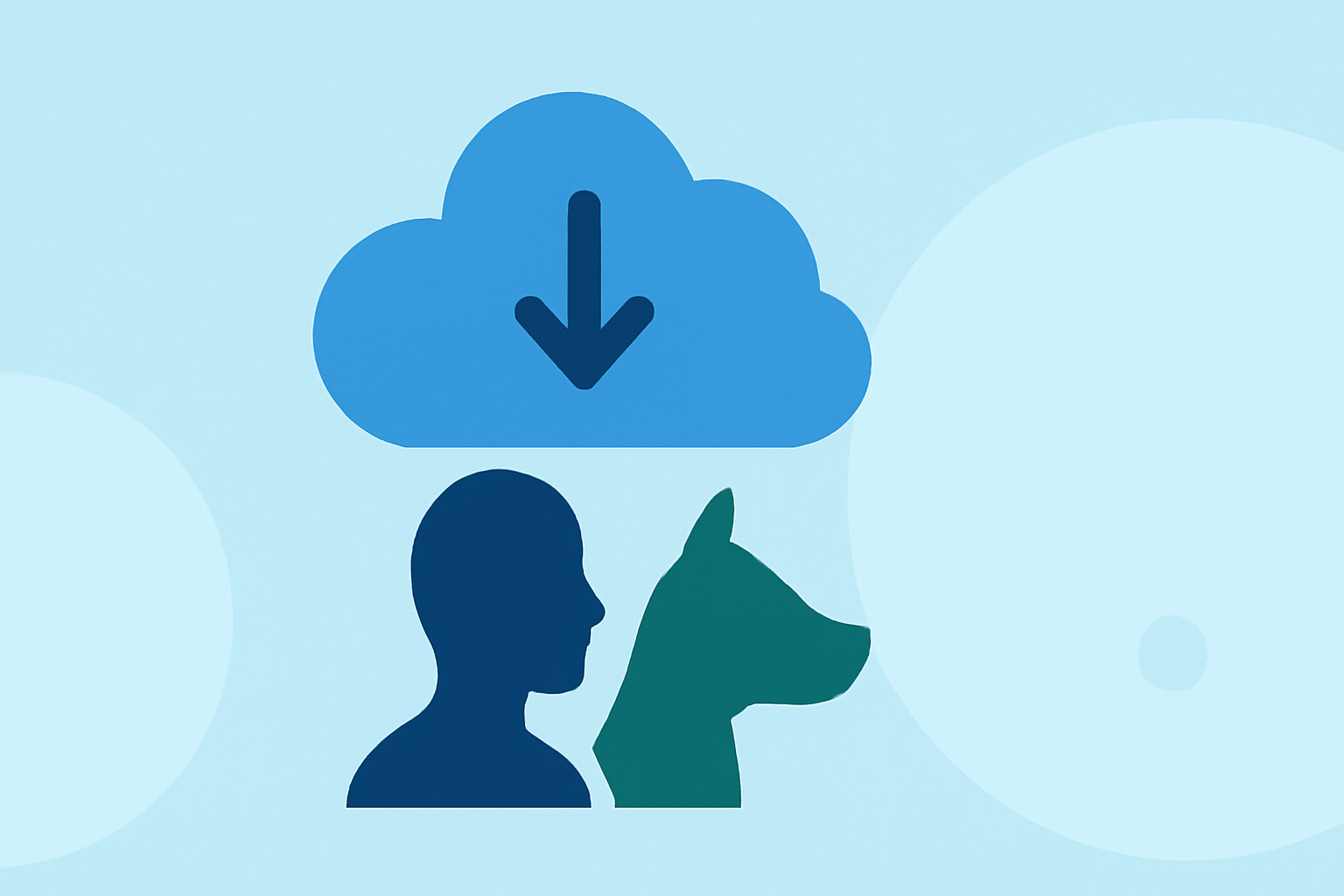 Cloud Cover Forecast Workflow for Pet Owners