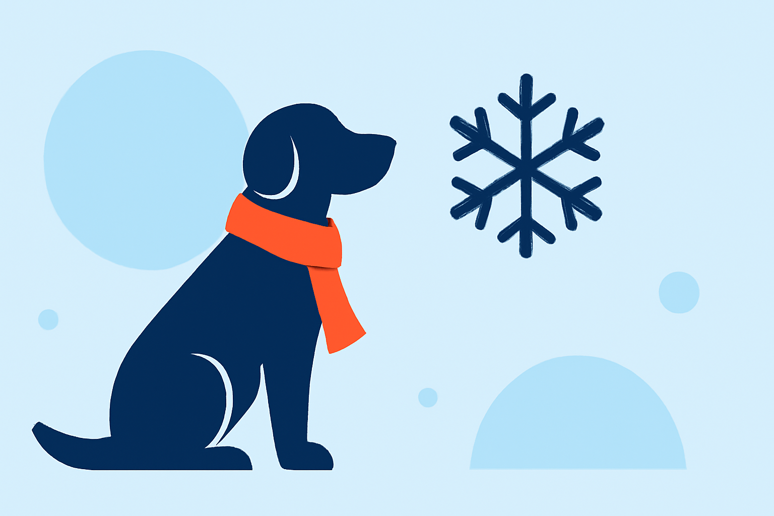 Hypothermia Prevention Cheat Sheet for Pet Owners