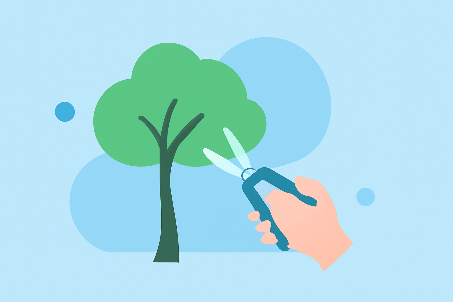 An Introduction to Weather Considerations for Tree Pruning