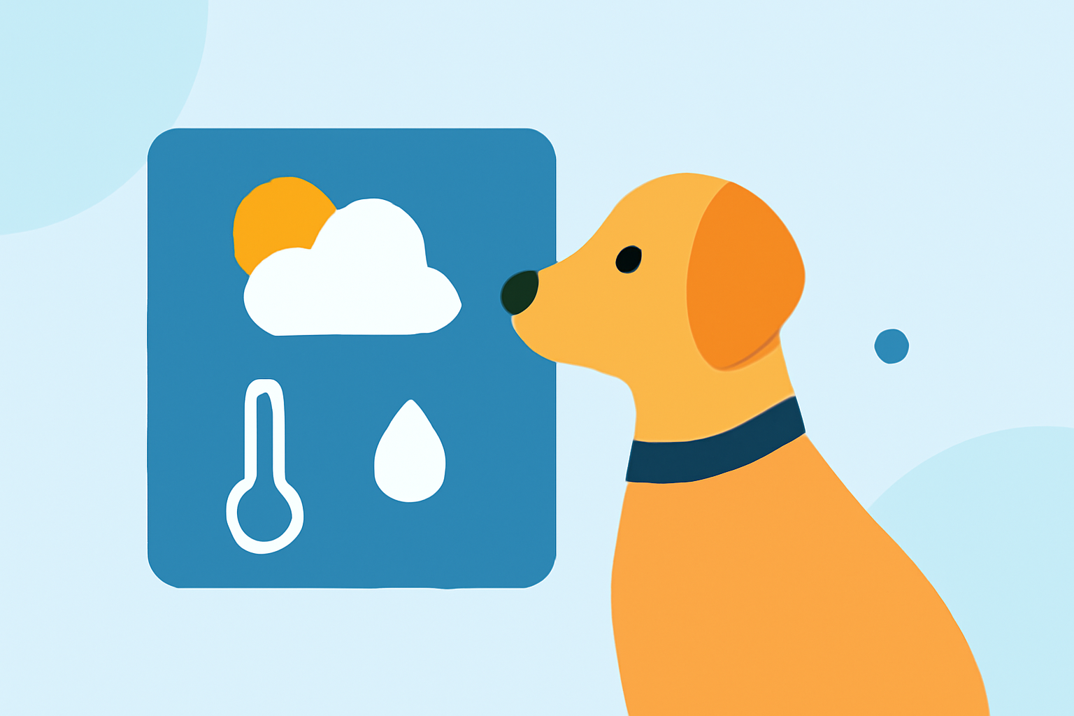 Interactive Weather Widgets Tutorial for Pet Owners