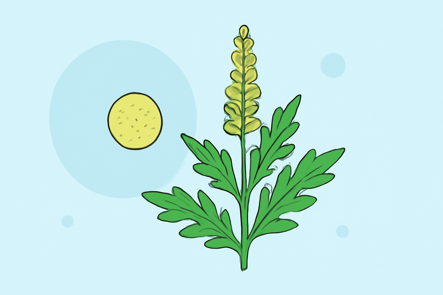 Understanding Ragweed Pollen: A Beginner's Guide