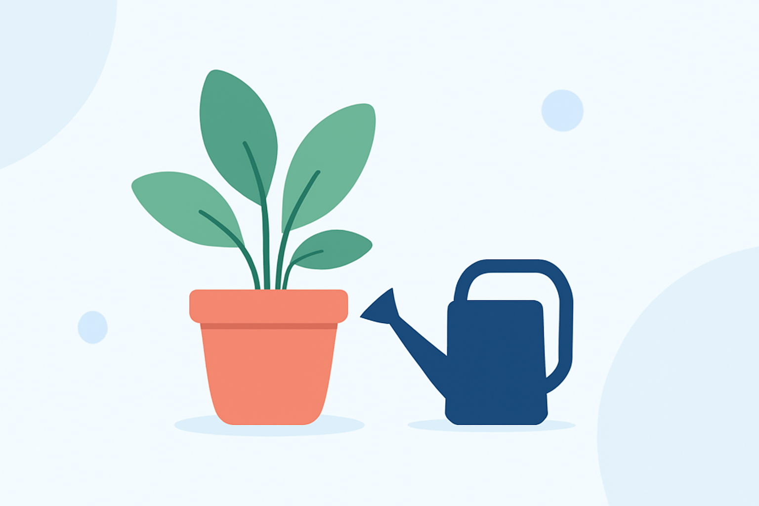 Quick Guide to Indoor Plant Care: Essential Tips for Non-Technical Users