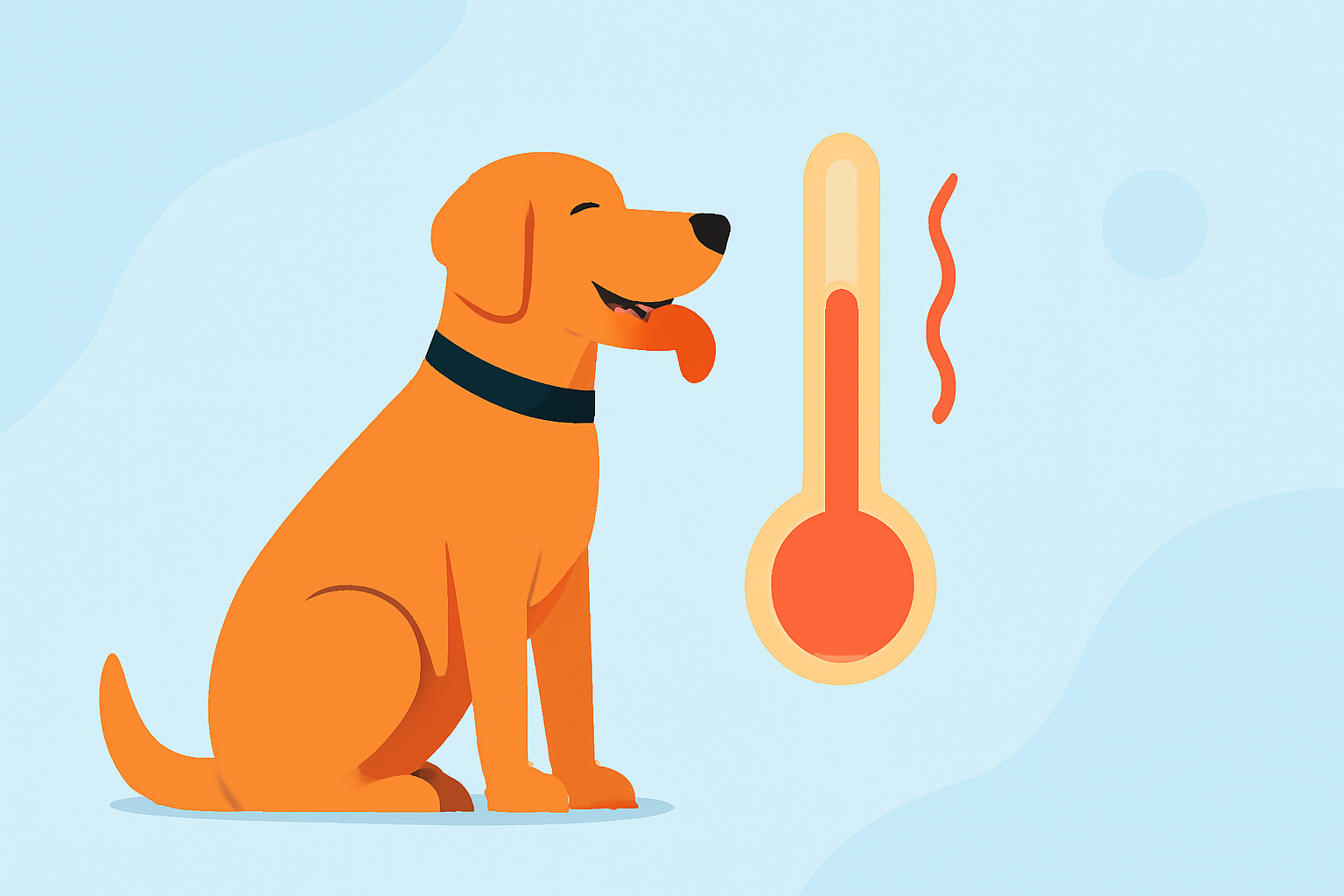 Protecting Your Pets During Record High Temperatures