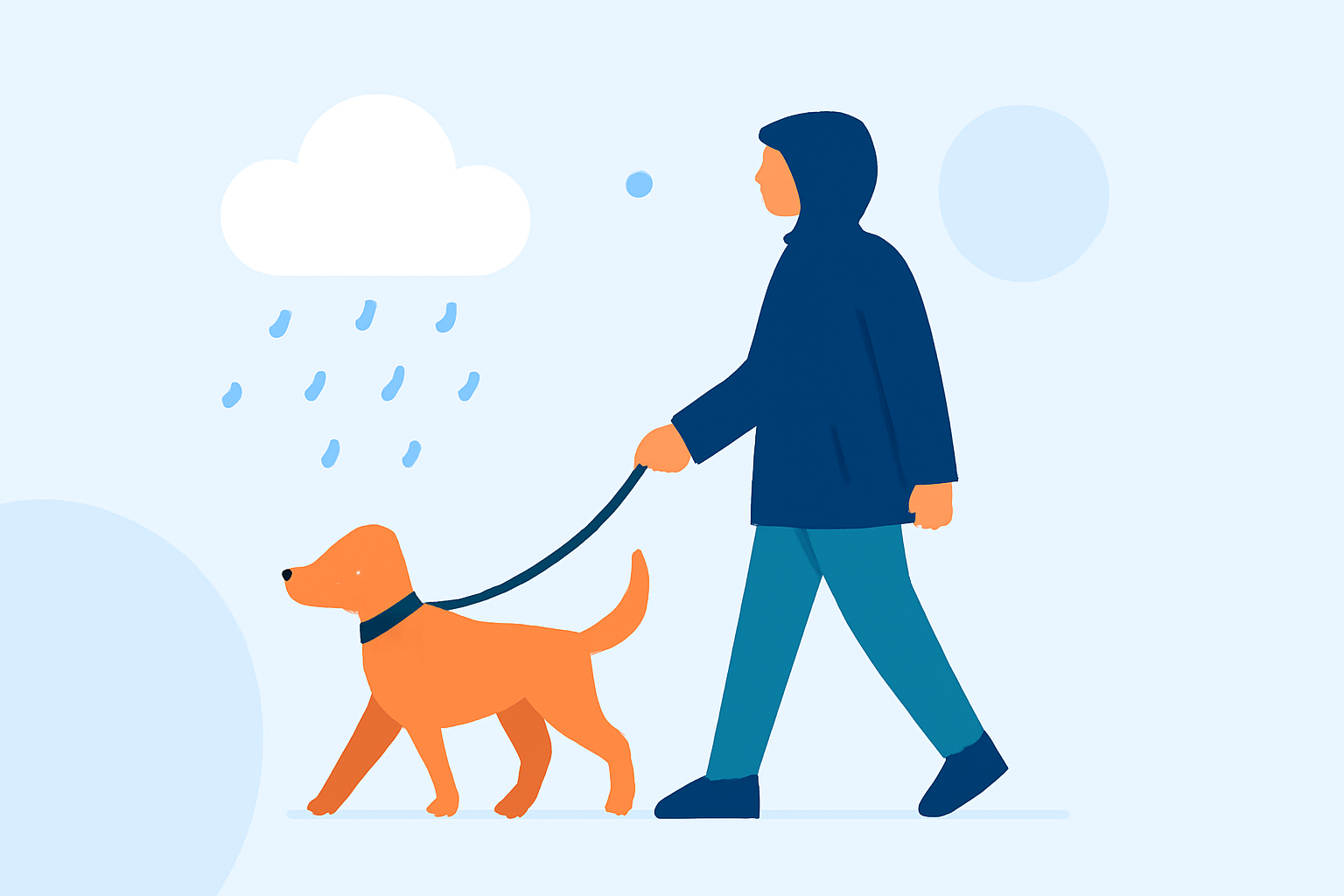 Essential Tips for Safe Pet Walks in Various Weather Conditions