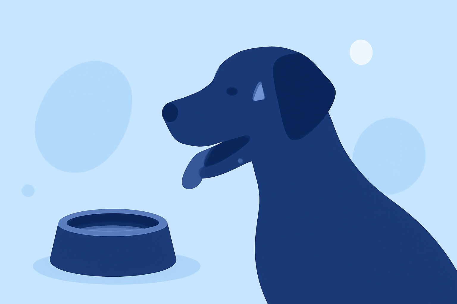 Heat Stroke Prevention Basics for Pet Owners