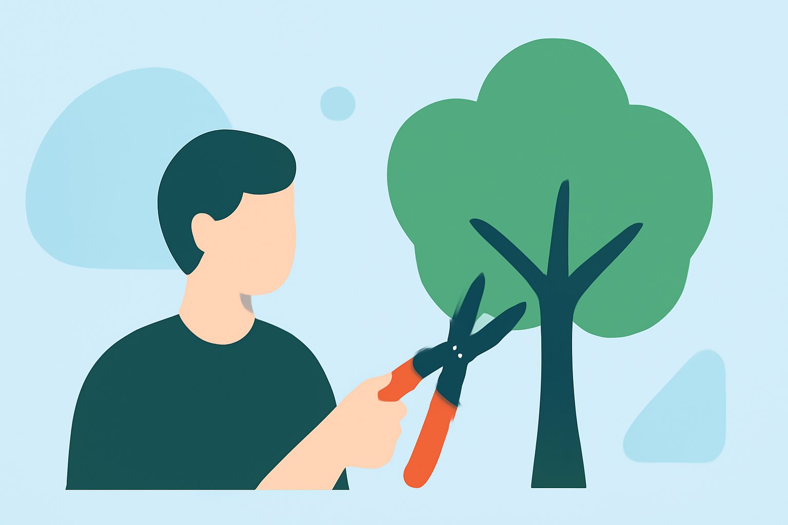 Essential Guide to Tree Pruning: Optimal Timing and Common Mistakes to Avoid