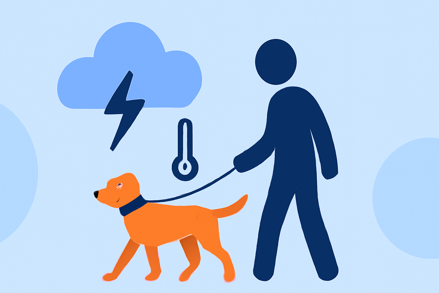 Your Guide to Weather Awareness for Pet Walking