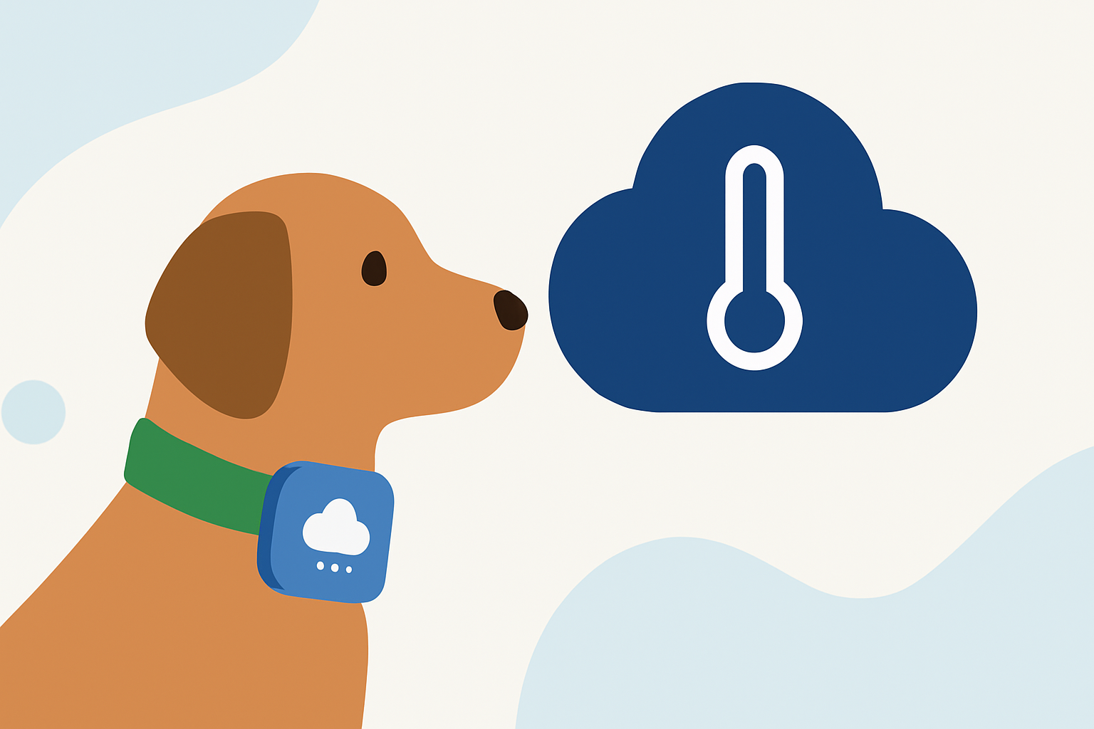 Getting Started with Weather-Aware Accessories for Pet Owners