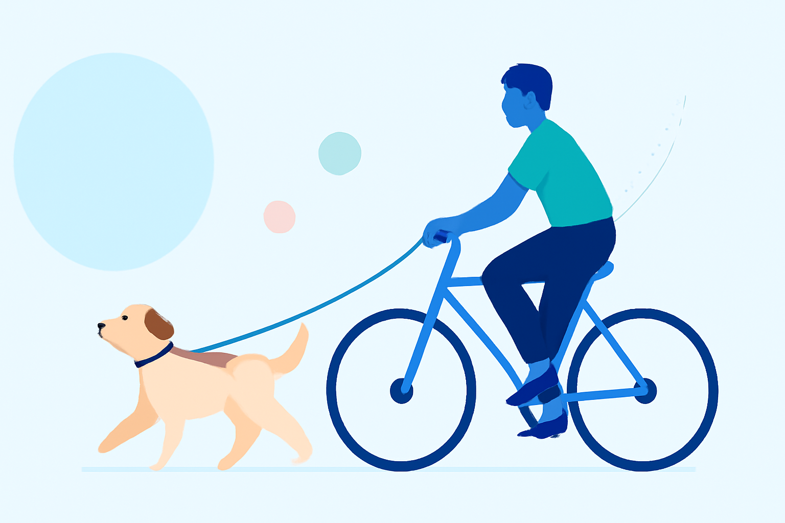 Cycling Air Quality Cheat Sheet for Pet Owners