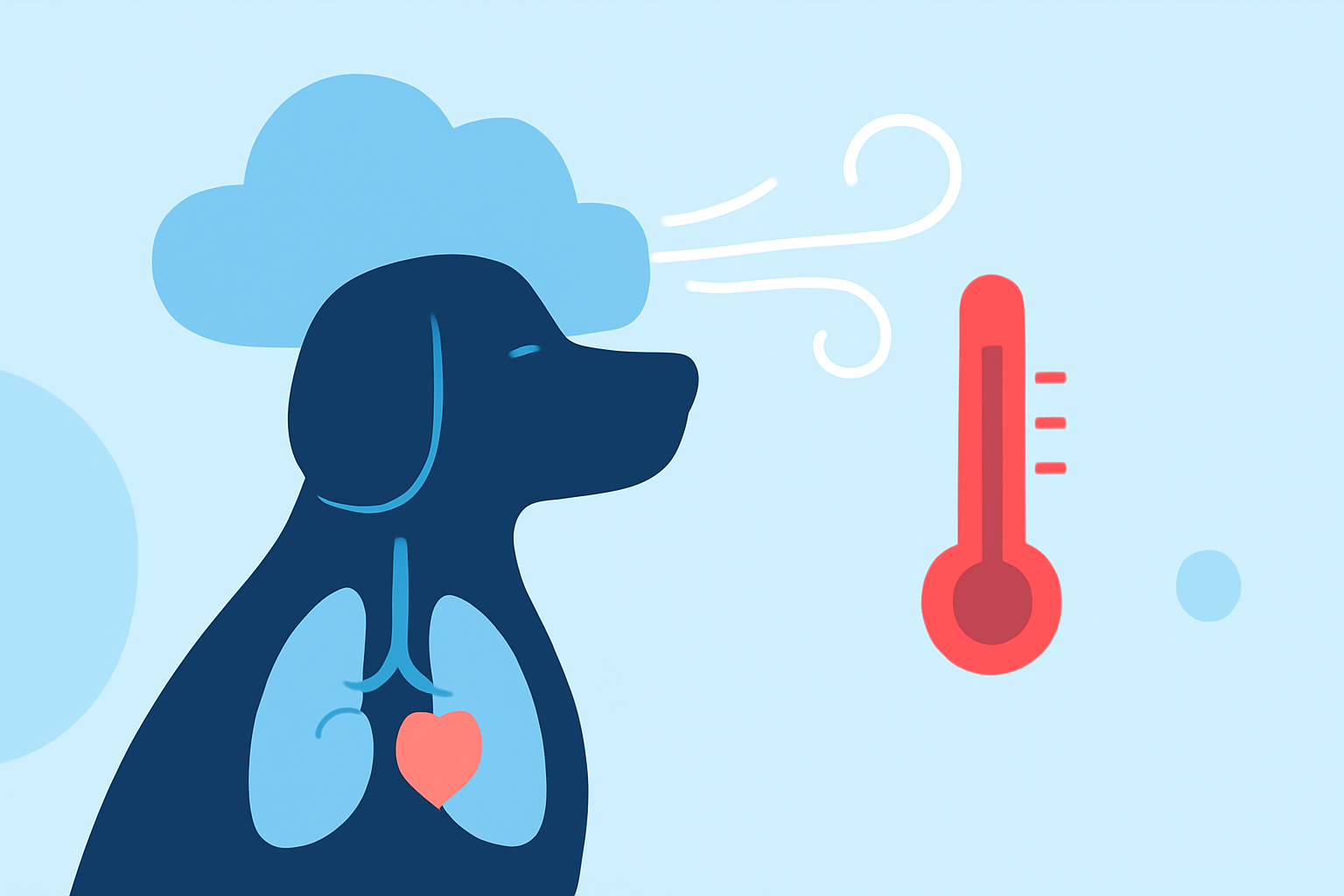 Understanding Weather's Impact on Your Pet's Respiratory Health